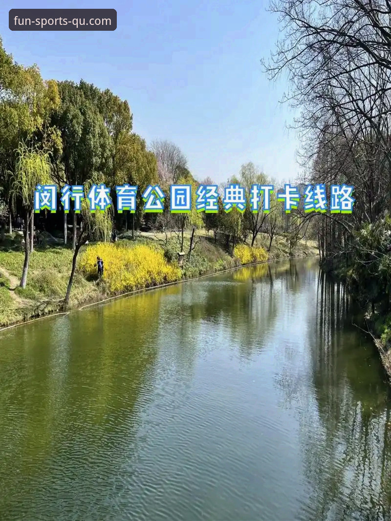 趣体育APP闪退问题诊断与修复完整指南